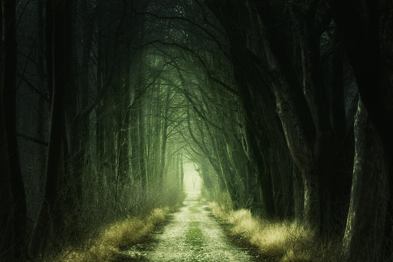 Mysterious Paths