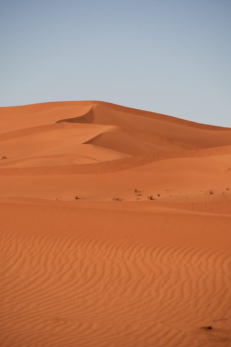 Desert Exploration